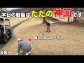 笑ってはいけない状況でのご視聴はお控えください。