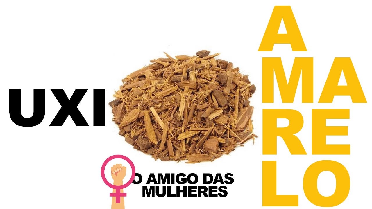 CHÁ DE UXI AMARELO, O AMIGO DAS MULHERES | Dr. Dayan Siebra