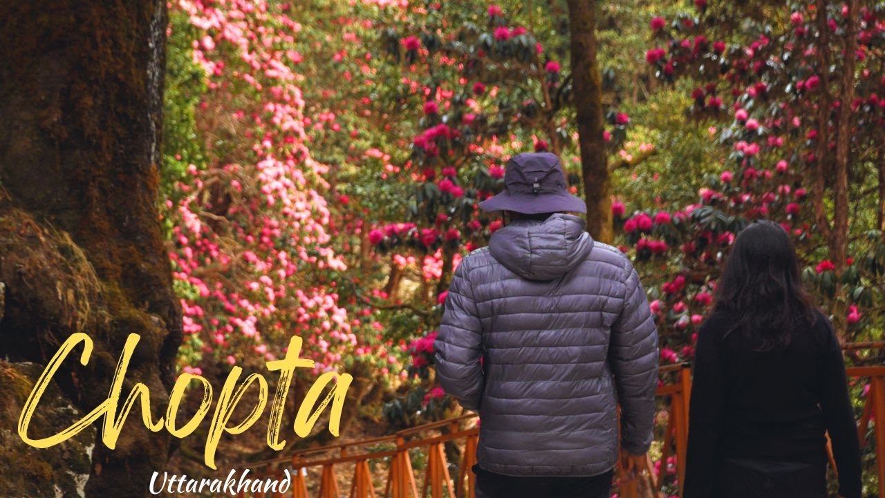 Chopta in Spring | Tungnath Temple and Deoria Tal Trek