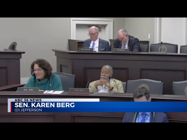 030724 Discussion on criminalizing child sex dolls - YouTube