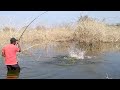 Amazing 5kg Big Rohu fishBig catfish catching Unbelievable FISHING in Krishna River fish hunting 🎣🐟🦈