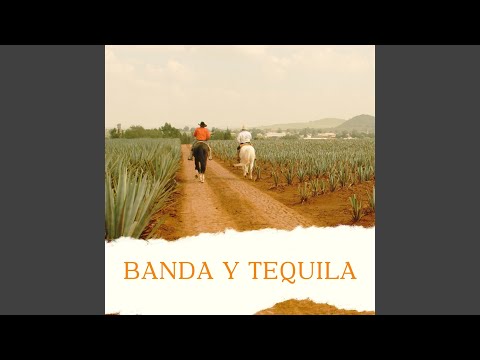 Te lloré un río (Versión mariacheño)