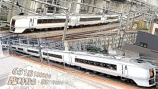 【横須賀線】651系1000番台の臨時特急・草津71号を見に行ってみた