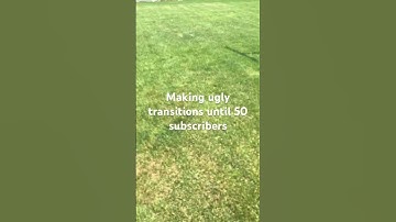Making ugly transitions until 50 subscribers day 1