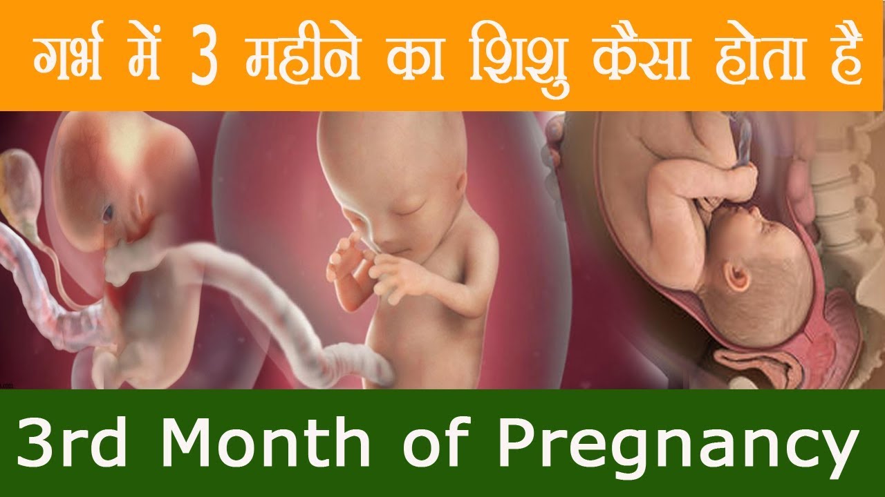 1 से 9 महीने गर्भ में शिशु के विकास का रोचक सफर || 1 to 9 month of baby growth during Pregnancy