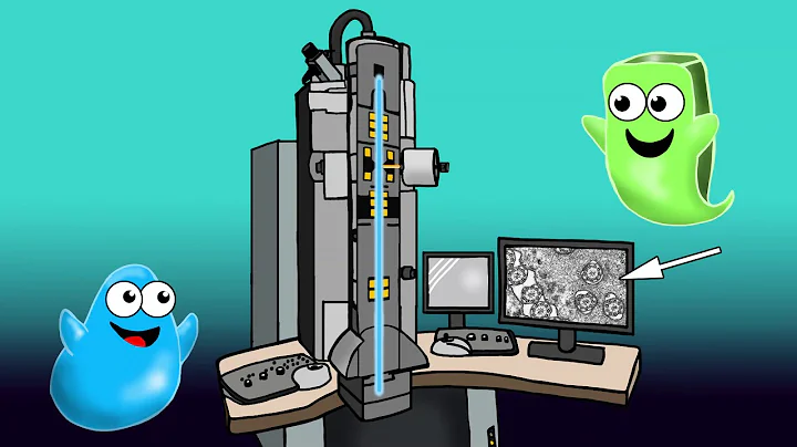 Video 5: Transmission Electron Microscopy