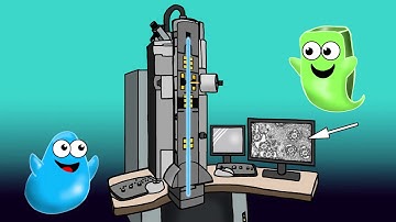Video 5: Transmission Electron Microscopy