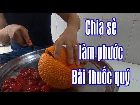 Chia sẻ bài thuốc quý làm từ hạt Gấc. Công dụng bất ngờ. Ai cũng có thể tự làm được. | Foci