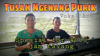 Tusah Ngenang Purik ( Anes ) | Bang Breg Official