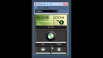 Algor Bloom Stereo Ensemble Effect by 1st creative solutions