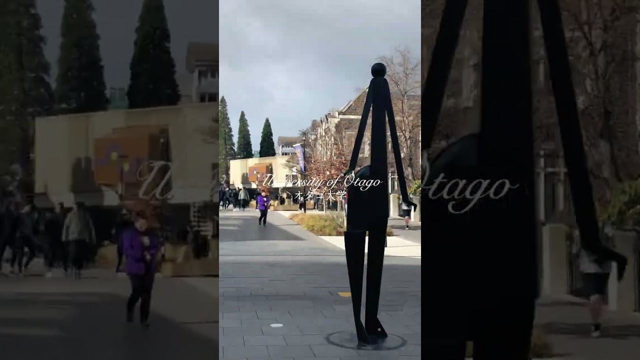 【2019】Vlog in New Zealand #17 | Day8 | Dunedin | Sightseeing 