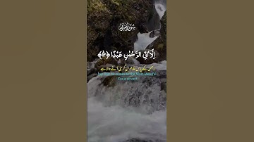 Surah Maryam 19:93-94 - سورة مريم 🌍👥🌟 #Quran #SurahMaryam #IslamicReminders #MuslimBelievers