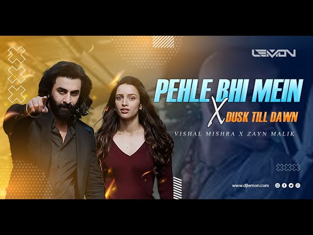 Hinde Xxx 2g Mp3 Bideo - Pehle Bhi Mein X Dusk Till Dawn - DJ Lemon | Vishal Mishra | Zayn Malik |  Animal Movie - YouTube