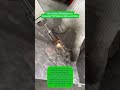 The Evolution of Metal Joining: Transitioning from Arc to Laser