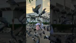 Mamu Mami And brother// umrah 2026 ❤️ // #mr_tayyab_qureshi_786 #ramadan #madina #makkah #shorts