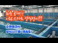 최초공개!! 2021년 국내 최신 순환여과시스템(RAS)으로 국내산 연어 양식을! -스마트양식,스마트팜