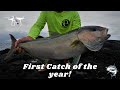 New year screamers! Drone Fishing in Hawaii!|Jigging for Pelagics from Shore! Amberjack/Tuna action!