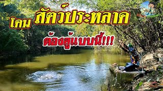 EP83 ตกปลาหมายธรรมชาติ ตกชิงหลิวคลองสาขาแม่น้ำป่าสัก จ.ลพบุรี "คลิปแรกของปี บุกป่ามาโดนสัตว์ประหลาด"