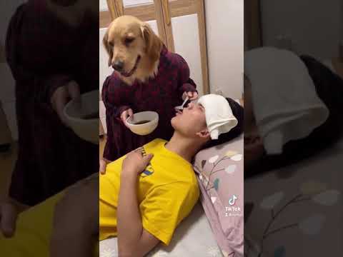 🐶Planet of funny
