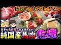 【ゆっくり解説】純国産の馬肉が危機を迎えている⁉︎現状を調査してみたけ結果...