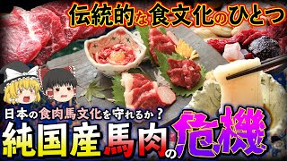 【ゆっくり解説】純国産の馬肉が危機を迎えている⁉︎現状を調査してみたけ結果...