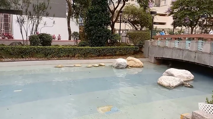 CHAIWAN PARK/ HONGKONG