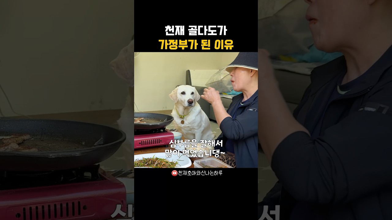 고기를 먹기 위해 천재가 되기로 한 리트리버