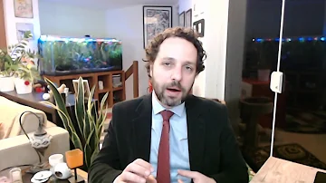 O que é nódulo ovóide?