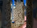 home use feed pellet making line