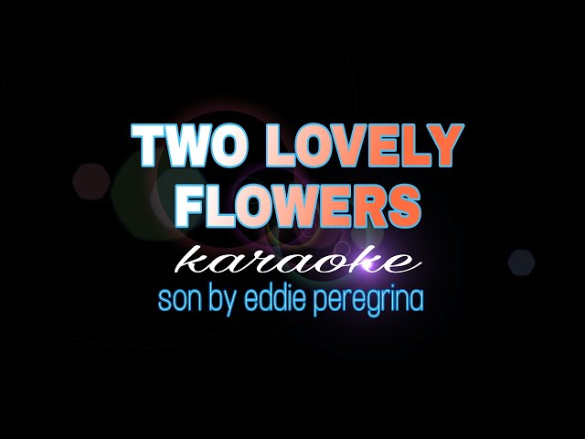 TWO LOVELY FLOWERS eddie peregrina karaoke class=