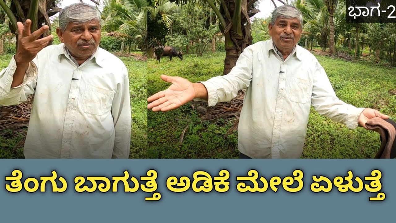 ತೋಟದಲ್ಲಿ ತೆಂಗಿನ ಮರದ ಸುತ್ತ ಬೇರೆ ಮರಗಳು ಇರಬಾರದಾ... ಕಾಂಗ್ರೆಸ್ ಗಿಡ ಹೇಗೆ ಬಂತು ಎಲ್ಲಿಂದ ಬಂತು