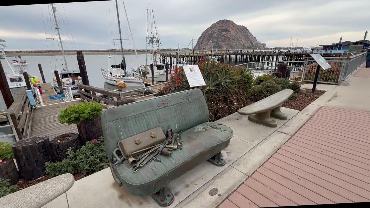 Coastal Wildlife in Morro Bay