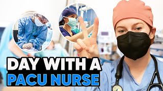 Nurse Day In The Life I What Does a PACU Nurse Do?