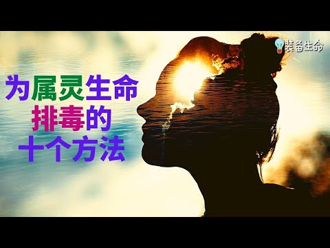 10个为属灵生命排毒的方法 l 装备生命