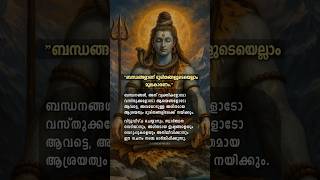 Shiva Quotes