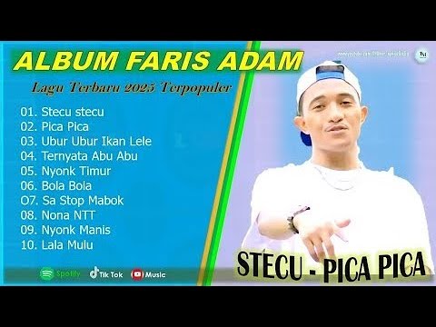 FARIS ADAM \u0026 JUAN REZA - STECA STECA - PICA PICA FULL ALBUM TERBAIK 2025 || LAGU POP SLOW 2025