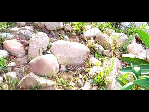    من روائع الطبيعة في وادي سبو