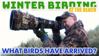 Join me in the search for lapwings and other early returning migrating birds!