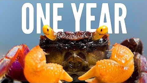 One Year Ago I Built an Ecosystem, This Happened  (PART -2)