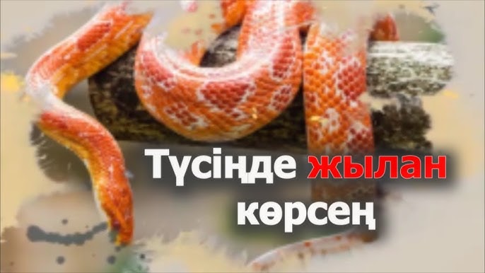 Порно түсіру онлайн мобильді нұсқасы