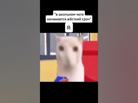 Когда начался конфликт в чате: #мемы #рекомендации - YouTube