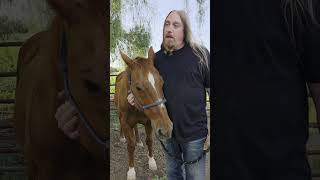 Steve Di Giorgio and Charlie announce Apophis #progressivemetal #newmusic #animallover