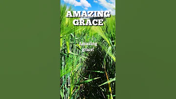 AMAZING GRACE #hymn #hymns  #amazinggrace #gospel #fyp #worship