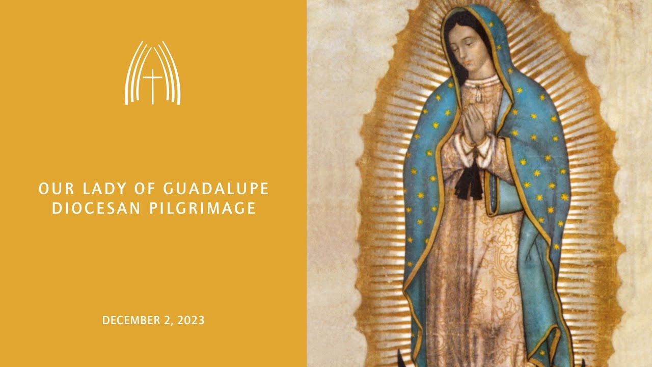 Mass for Our Lady of Guadalupe Diocesan Pilgrimage - December 2, 2023 ...