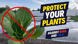 How to Protect Your Plants Against Bugs and Cold