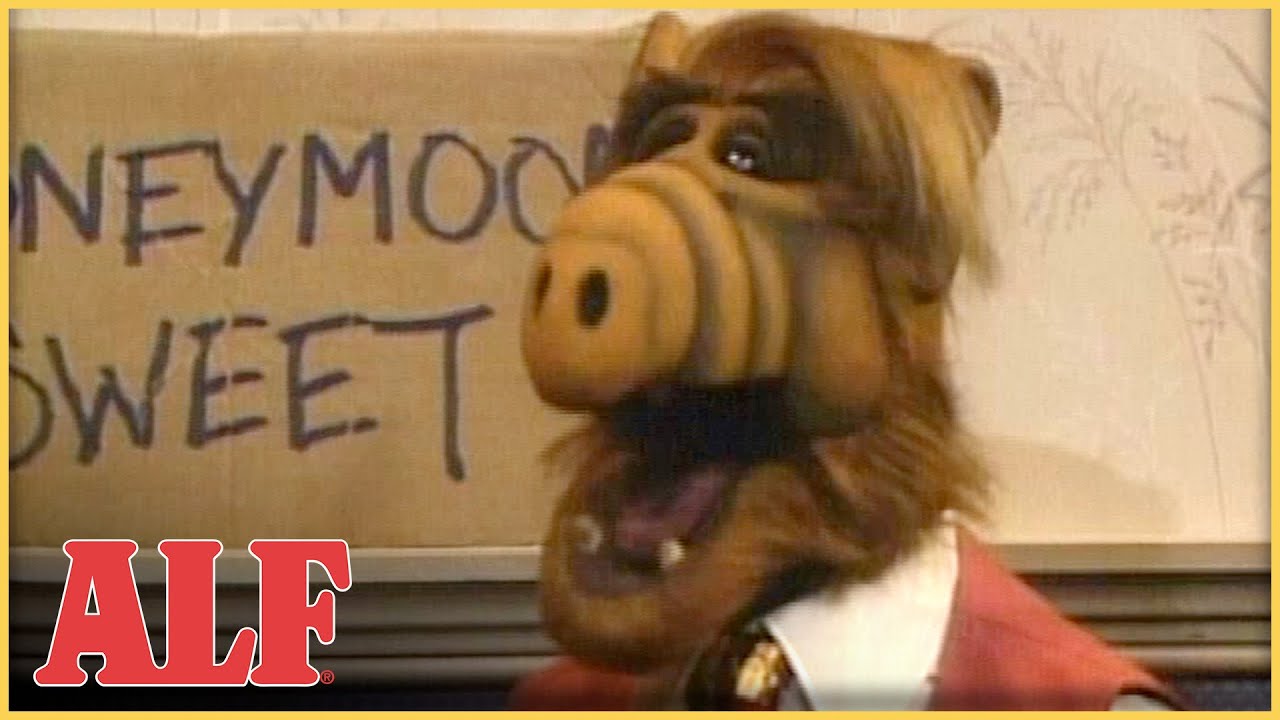 ALF's in Charge of the Honeymoon 💕 | S2 Ep10 Clip