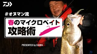 【小沼正弥】オヌマン流‼ / 春のマイクロベイト攻略術 ー 東京湾シーバス【DAIWA】