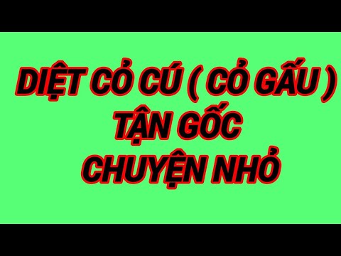 Video tuyệt chiêu trừ cỏ cú ( cỏ gấu ) chết tận củ. với hoạt... - youtube