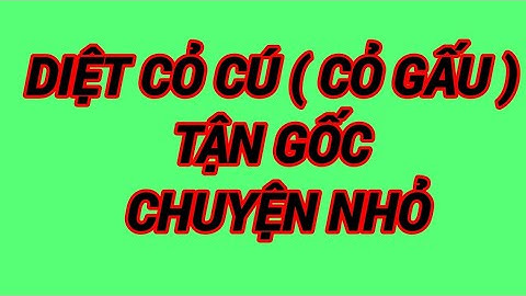 tuyệt chiêu trừ cỏ cú ( cỏ gấu ) chết tận củ. với hoạt chất clyphosate + 2,4D + muối ăn.