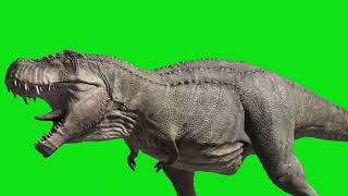 Tyrannosaurus Rex - ROAR and WALK Green Screen Animation